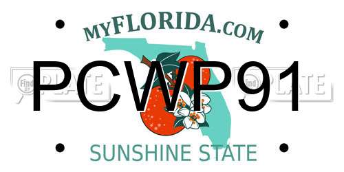 PCWP91 Florida License Plate