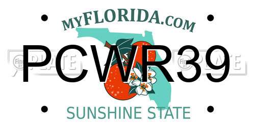 PCWR39 Florida License Plate