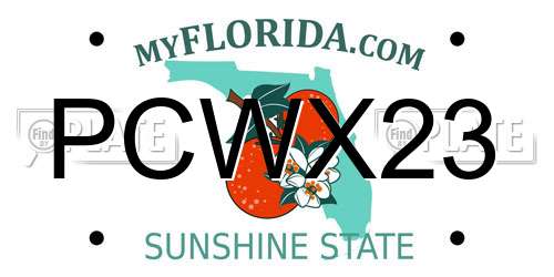 PCWX23 Florida License Plate