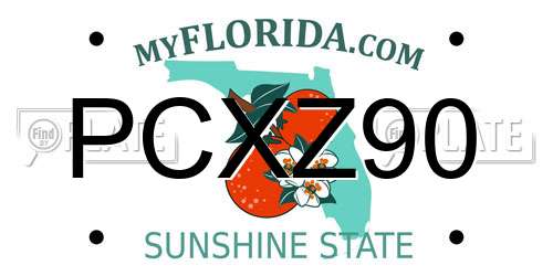 PCXZ90 Florida License Plate