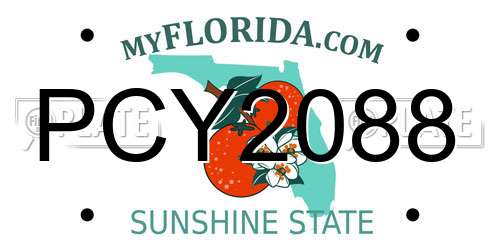 PCY2088 Florida License Plate