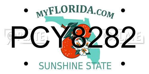 PCY8282 Florida License Plate