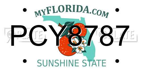 PCY8787 Florida License Plate