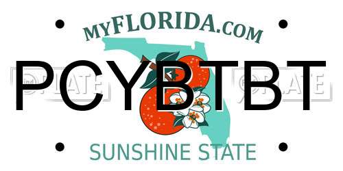 PCYBTBT Florida License Plate