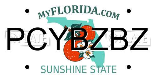 PCYBZBZ Florida License Plate