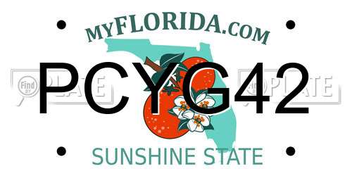 PCYG42 Florida License Plate