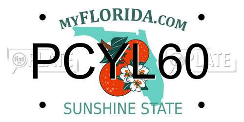 PCYL60 Florida License Plate