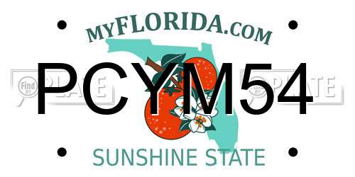 PCYM54 Florida License Plate