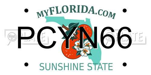 PCYN66 Florida License Plate