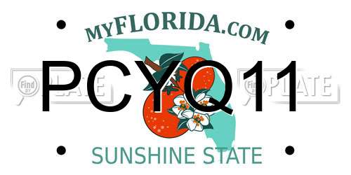 PCYQ11 Florida License Plate
