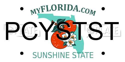 PCYSTST Florida License Plate