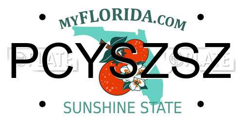 PCYSZSZ Florida License Plate