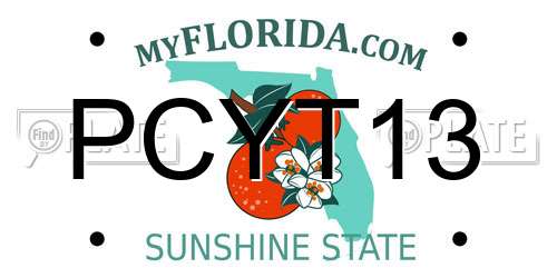 PCYT13 Florida License Plate