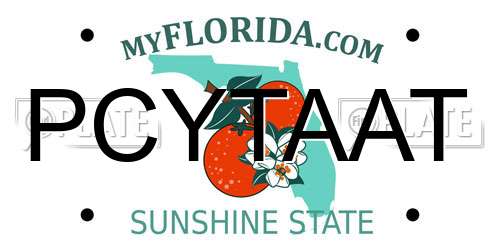 PCYTAAT Florida License Plate