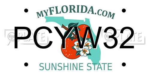 PCYW32 Florida License Plate