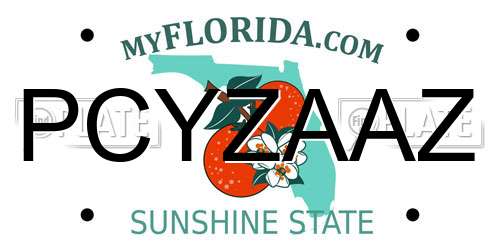 PCYZAAZ Florida License Plate