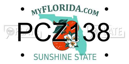 PCZ138 Florida License Plate