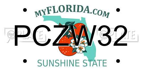PCZW32 Florida License Plate