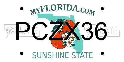 PCZX36 Florida License Plate