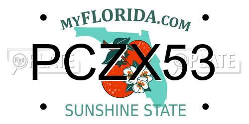 PCZX53 Florida License Plate