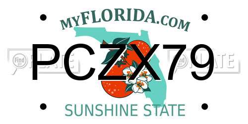 PCZX79 Florida License Plate