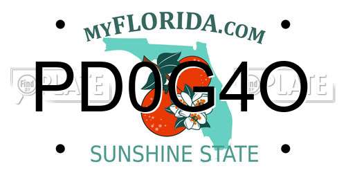 PD0G4O Florida License Plate
