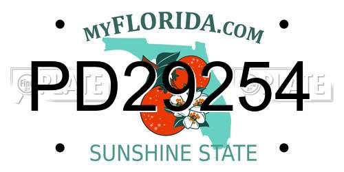 PD29254 Florida License Plate