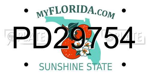 PD29754 Florida License Plate