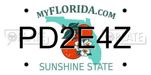 PD2E4Z Florida License Plate