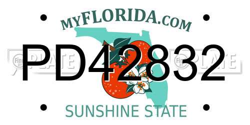 PD42832 Florida License Plate