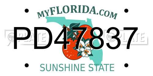 PD47837 Florida License Plate