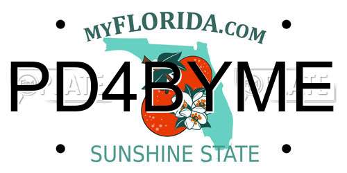 PD4BYME Florida License Plate