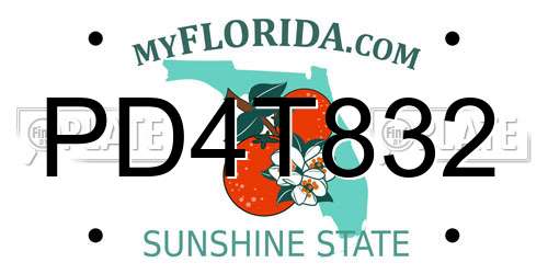 PD4T832 Florida License Plate