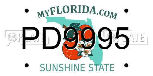 PD9995 Florida License Plate