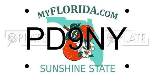 PD9NY Florida License Plate