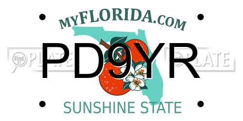 PD9YR Florida License Plate