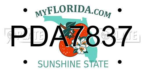 PDA7837 Florida License Plate