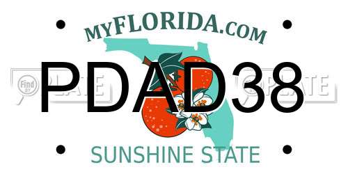 PDAD38 Florida License Plate