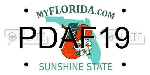 PDAF19 Florida License Plate