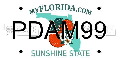 PDAM99 Florida License Plate