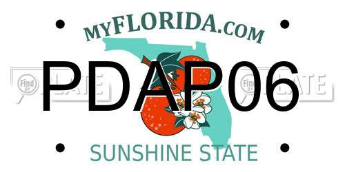 PDAP06 Florida License Plate