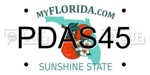 PDAS45 Florida License Plate