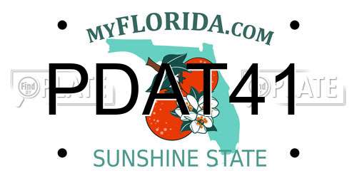 PDAT41 Florida License Plate