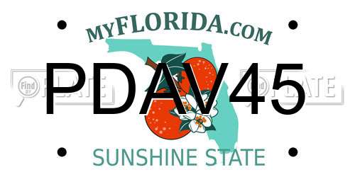 PDAV45 Florida License Plate