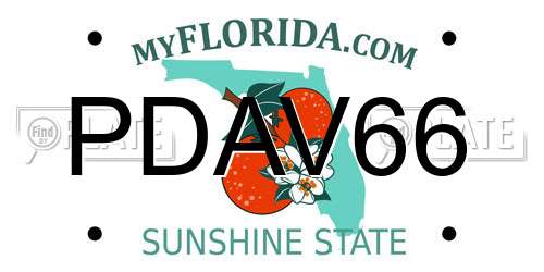 PDAV66 Florida License Plate
