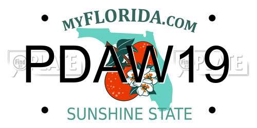 PDAW19 Florida License Plate