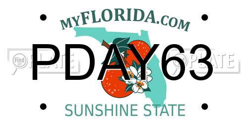 PDAY63 Florida License Plate