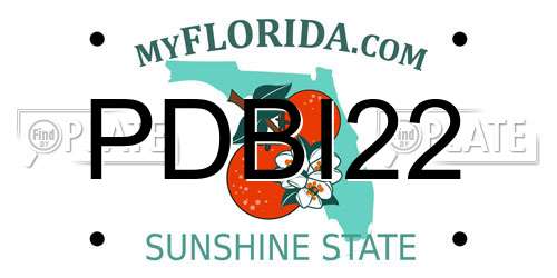 PDBI22 Florida License Plate