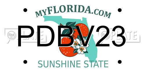 PDBV23 Florida License Plate