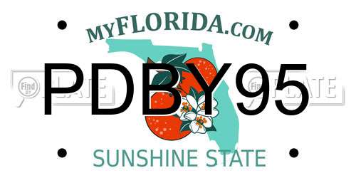PDBY95 Florida License Plate